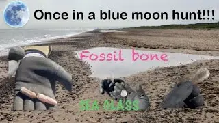 Beachcombing uk. Once in a blue moon hunt!!