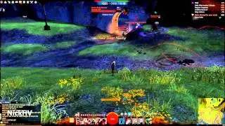 Guild Wars 2 Thief WvW Roaming 1