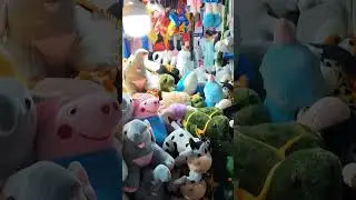 soft toys #toys #softtouch #cute #trending #reels #music #rajasthani #travel #love