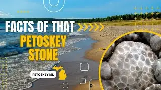 The Petoskey Stone and where to find it!