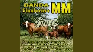 La Barquita