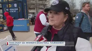 Gamecock fans enjoy SEC women's basketball tournament