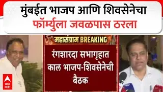Amit Satam On Mumbai Mahapalika : मुंबईत भाजप आणि शिवसेनेचा फॉर्म्युला जवळपास ठरला