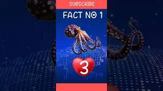 best facts #shorts #facts #factstechz