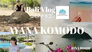 コモド島vlog【AYANA KOMODO✨🦎】