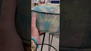 Florida thrift store finds, #46 something cool