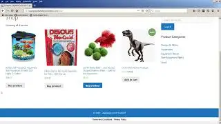 Website Content Conclusion - Building a Business Website Using WordPress