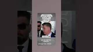 STF TSE lularapio Xand&atilde;o n&atilde;o me representa 👹 DNA crime organizado 🤬🤮💩