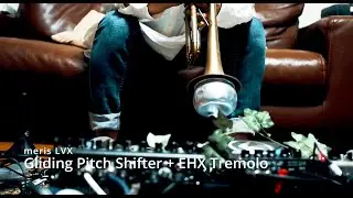 meris LVX glide pitch-shifting delay (+ EHX super pulsar tremolo)