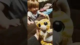 Kittens show E23: out the window