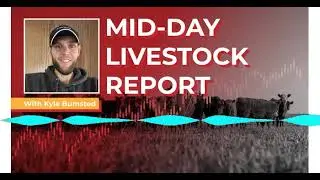 Midday Livestock Report with Kyle Bumsted  Friday | 01/23/26