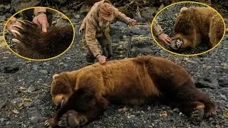 The Hunter Alone Killed A Dangerous Bear And Grilled Its Tasty Paws On Site.