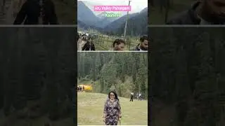 Aru Valley Pahalgam #aruvalley #pahalgam #kashmir #kashmirtourism #mountains  #shortsfeed #ytshorts