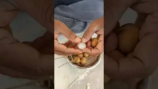 Enjoying his Longan #healthy #longan #fruit #shorts #short #vantalavedakka