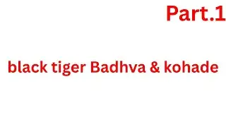 Black tiger badhava & kohade ka pahla semi final match 🏏🏏💯#viral#viralvideos#vlog#trending#match 