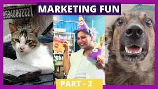 My Birthday | MH14 Animal Hospital | Animal NGO | Mumbai - Pune | Dogs | Cats | Content Shoots | KFC
