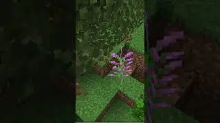 final cut minecraft #funny #comedy #shorts #ytshorts #shortsfeed #trending