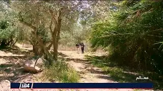 برنامج 