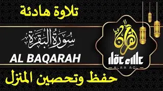 سورة البقرة (كاملة) لحفظ وتحصين المنزل وجلب البركة تلاوة رائعة للقارئ علاء عقل Sourah Al - Baqarah