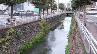 今日は動画も写真もこの一台！【FUJIFILM X 100 VI】 でいいんじゃない？／Vlog.2026年1月11日日曜日