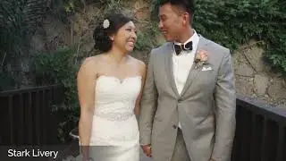 Stark - Wedding Transportation, Wedding Shuttles, Wedding Limos, Wedding Service, Weddings Houston.