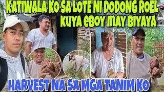 🇵🇭KATIWALA KO SA LOTE NI DODONG ROEL‼️KUYA EBOY MAY  BIYAYA