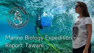 Marine Biology Expedition report - Tawani
