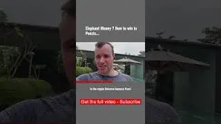 Elephant Money 🤔 How to win in Ponzis...