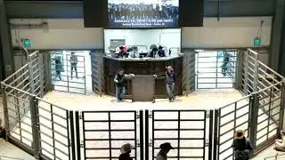Maternal Merit Bred Heifer Sale, NWSS, Denver, CO