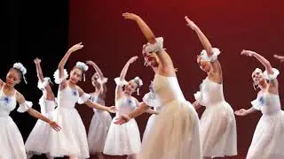 Dança | Espetáculo 