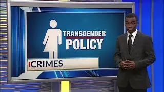 TRANSGENDER CRIME
