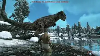 Spawning in Ark survival evolved