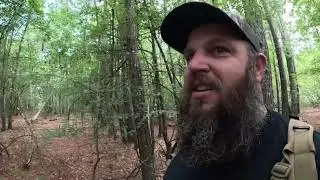 Trail cams and Deer Cane