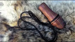 Making a Predator Call and using it on Coyotes