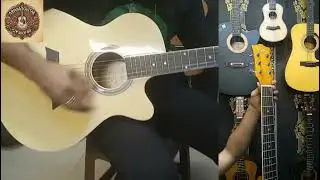 TGM AG3N Pure Acoustic Guitar Sound Check by Ariana Guitar Shop BD