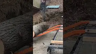 Loading a Large Log using a winch and ramps. #norwoodsawmill #sawmill #logs #logging #diy #norwood