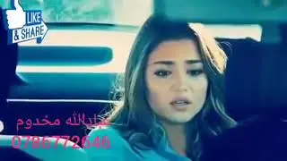 محیب الله دالی