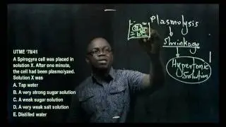Varieties of Organisms 2