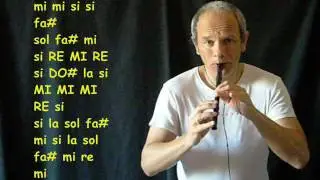 Tin Whistle - Scarbrough fair (suonato con il Flauto Irlandese)