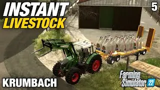 ВОТ КАК МГНОВЕННО ЗАВЕСТИ СКОТА! | Крумбах | Farming Simulator 22 - Эпизод 5