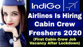 Indigo Airlines CABIN CREW Job Vacancy 2020 | Takeoff With Samreen