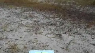 V120D02S - Crash again with 130X blades! 30+ mph winds.