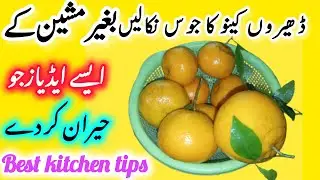 Easy home and kitchen Hacks 🔥 easy home and kitchen hacks|  tip tricks Idea organizer | useful tips
