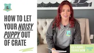 How To Overcome Separation Anxiety | AAPTS Ep. 229