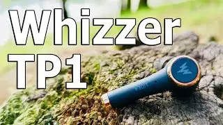 Блестящий - не значит пошлый I 10 фактов об ушах Whizzer TP1