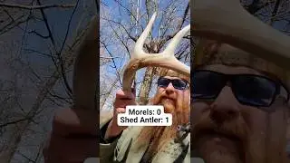#shedhunting #shedantler #antlers #deerhunting #shedseason #morelmushrooms #mushroomhunting #morels