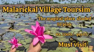 Malarickal Village Toursim..The  magical place shaded  in pink 💗 