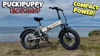 The Puckipuppy Dachshund E-Bike Can Run With the BIG DOGS! 