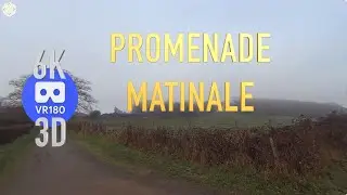 VR180 3D - 6K -AU FIL DE MES PROMENADES ≠8  - Bd Nature - 26 janvier 2026