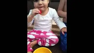 PCH Princess Rowan working on biting: Strawberries & Red Seedless Grapes